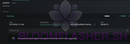 1771113922395.png